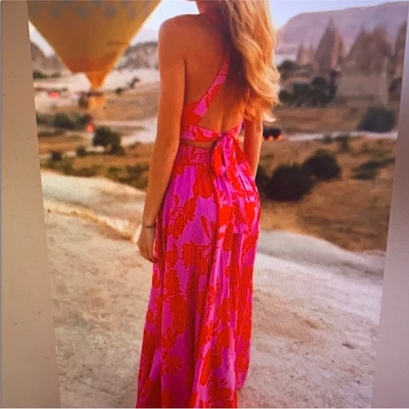 Abel The Label Anthropologie Charlotte Backless Pink Floral Maxi Dress XS tie - Picture 6 of 14